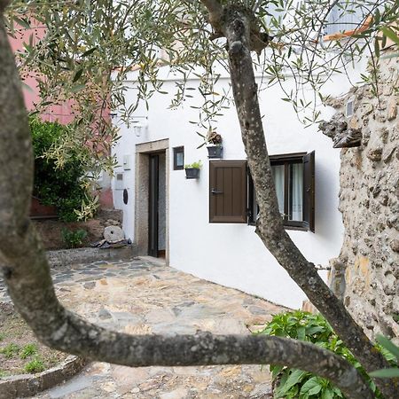 Picote Casa Da Penhaヴィラ エクステリア 写真